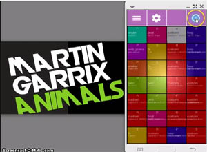 Martin Garrix - Animals Remix with PushPad DJ